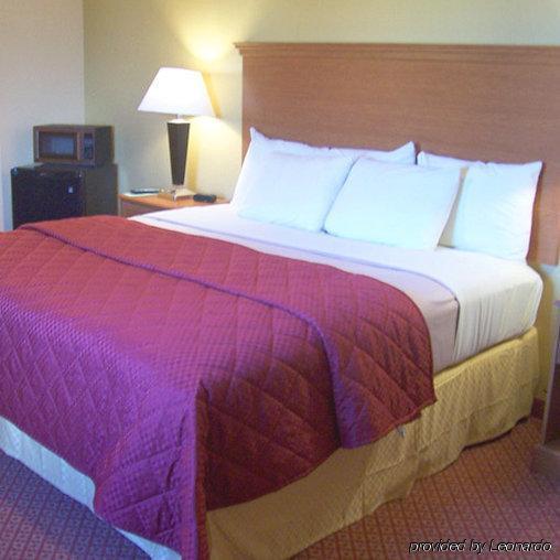 Executive Inn & Suites - Jewett 客房 照片